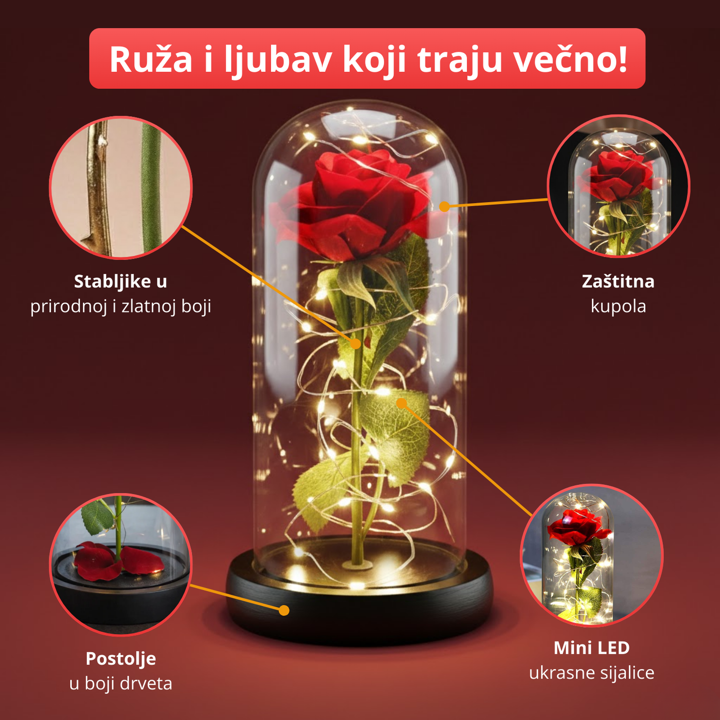 Ever Rose - Večna svetleća ruža u zvonu
