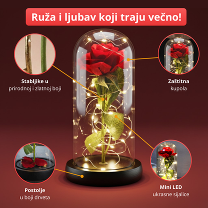 Ever Rose - Večna svetleća ruža u zvonu