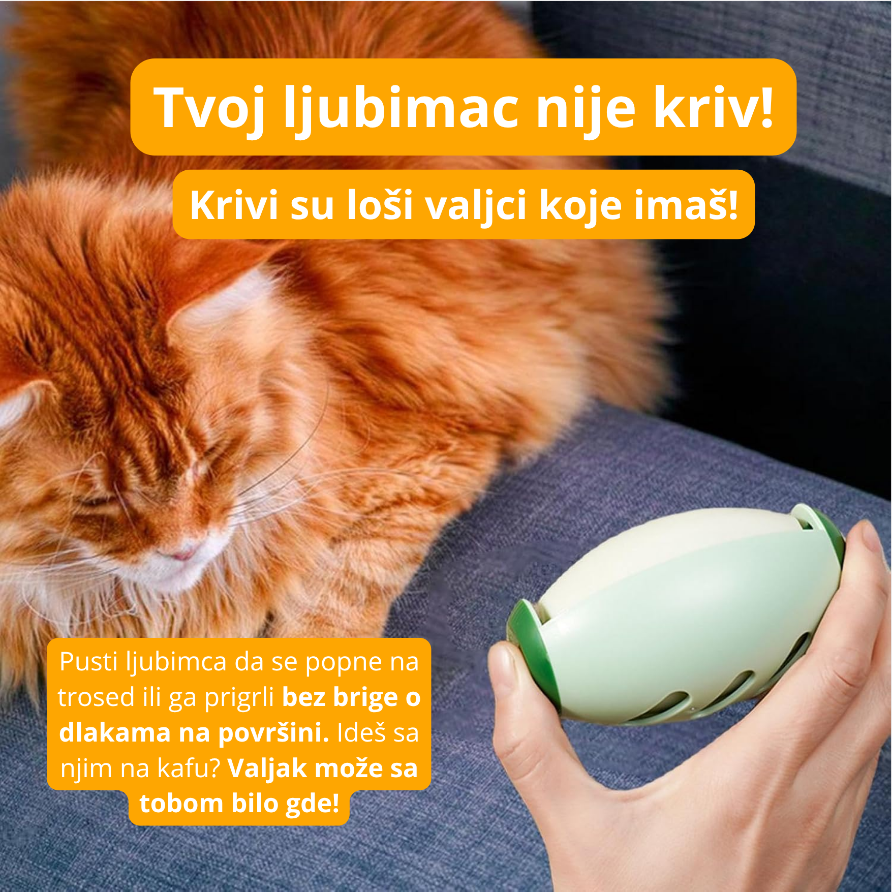 Valjak čistač