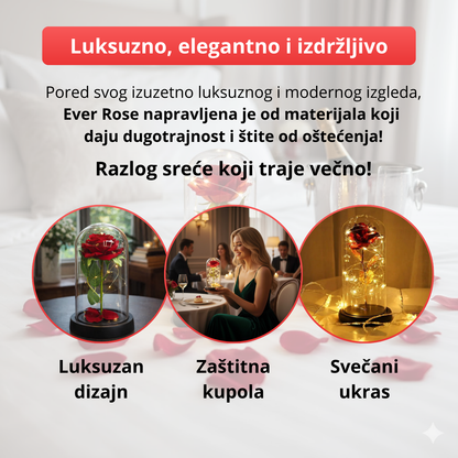 Ever Rose - Večna svetleća ruža u zvonu