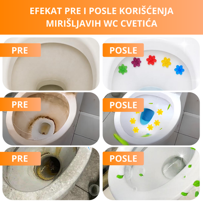 Mirišljavi cvetići za WC šolju - 3 mirisa (42 cvetića)